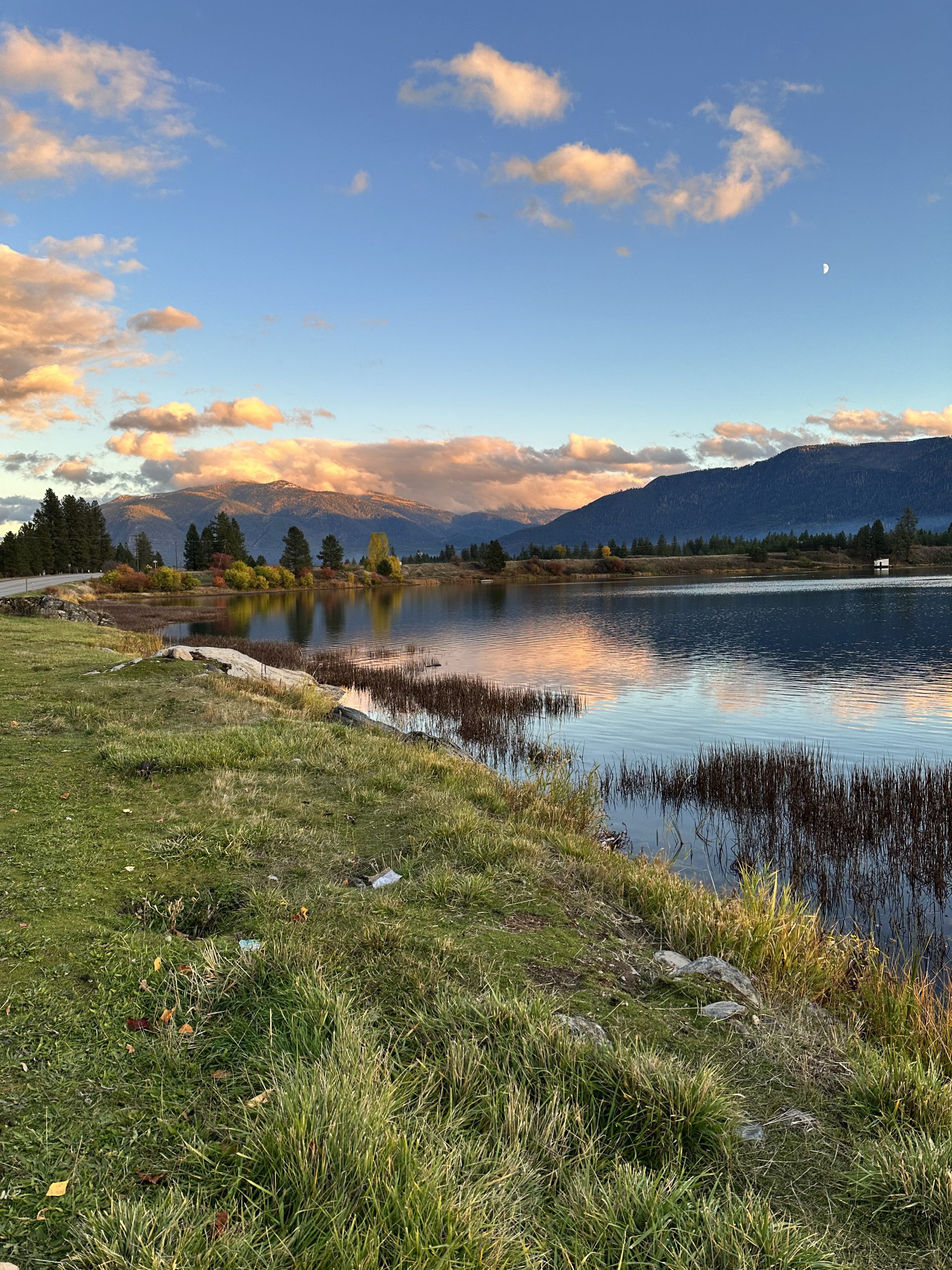 Grassy lakeshore and mountains in Sanders County in fall