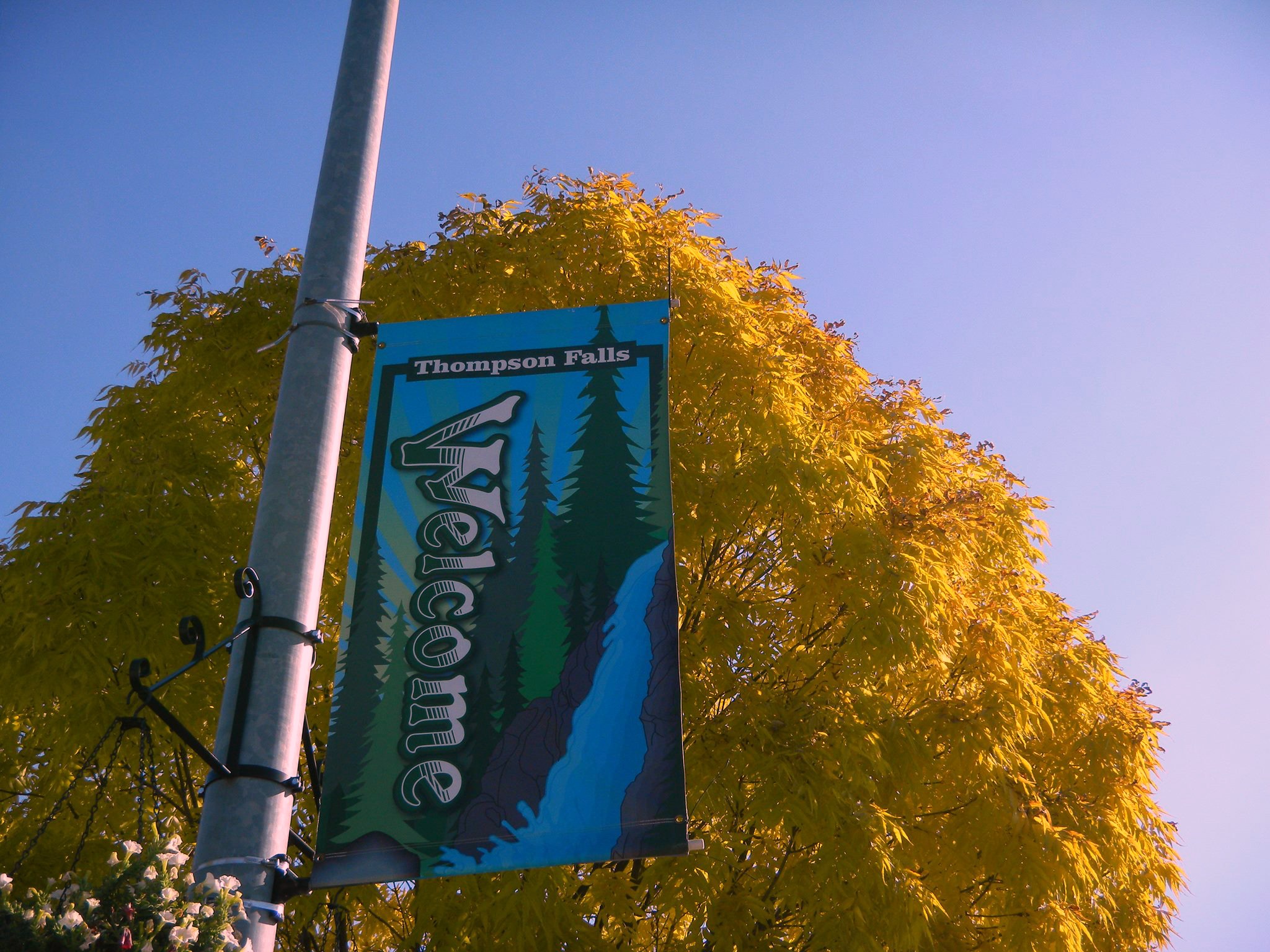 A Thompson Falls welcome banner on a lamp post framed by a golden autumn tree